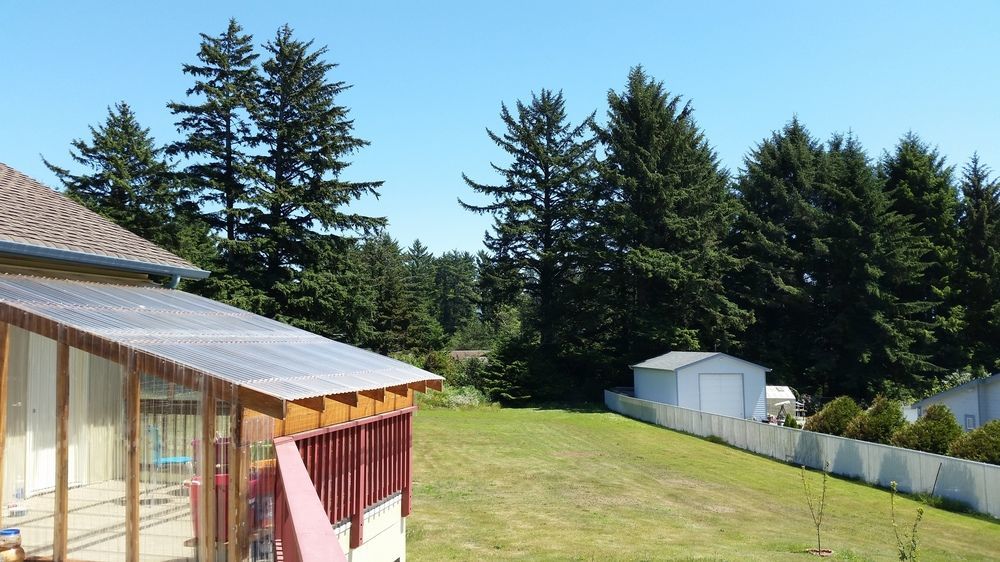 Arky'S B&B Smith River エクステリア 写真